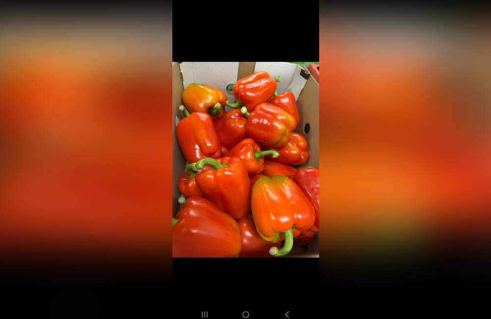 Slide 18