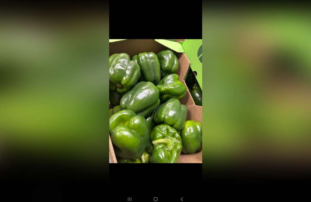 Slide 19