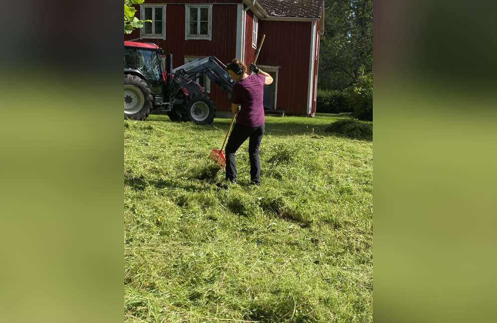 Slåttergille i Boatorp - bild 3