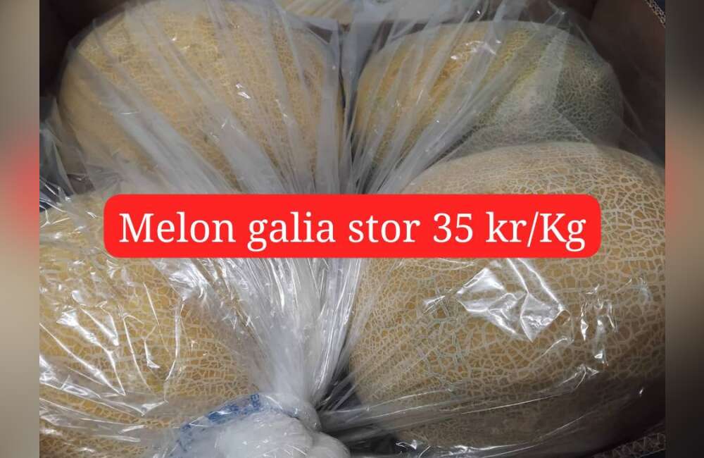 Slide 23