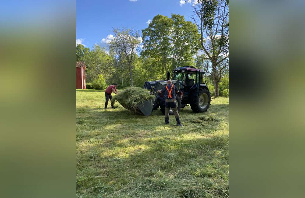 Slåttergille i Boatorp - bild 4