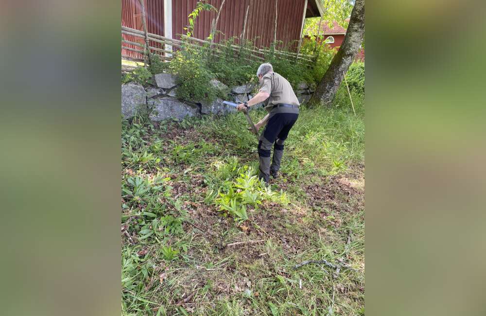 Slåttergille i Boatorp - bild 2