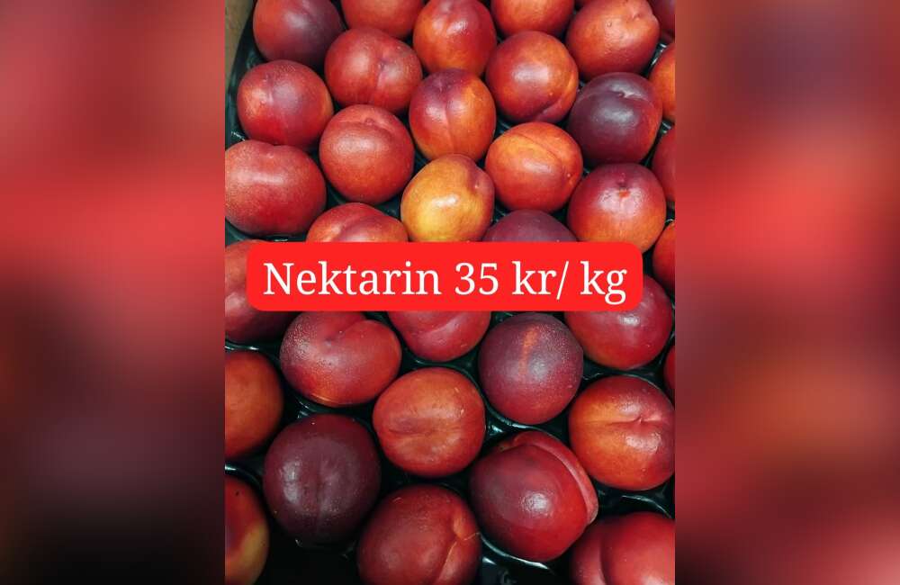 Slide 15
