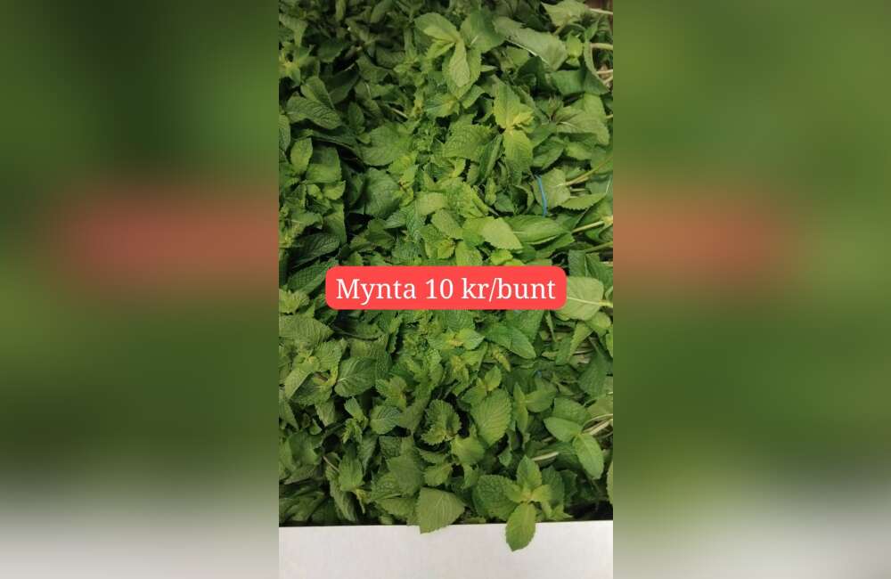 Slide 10