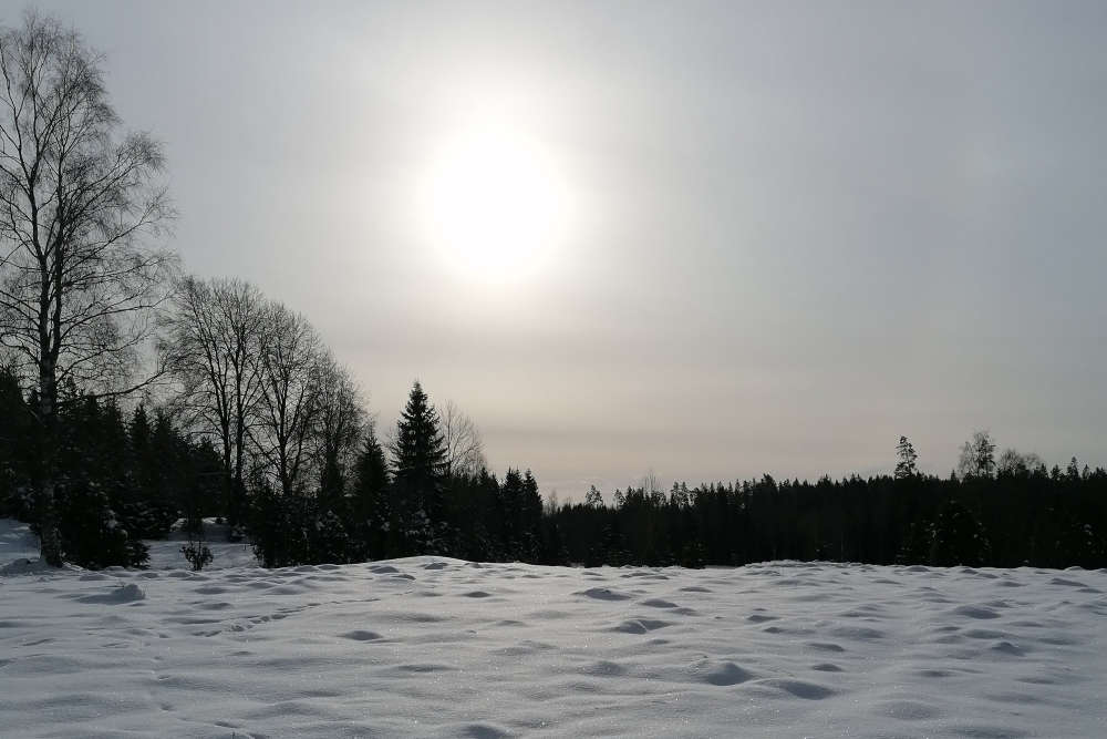 En bild som placeholder