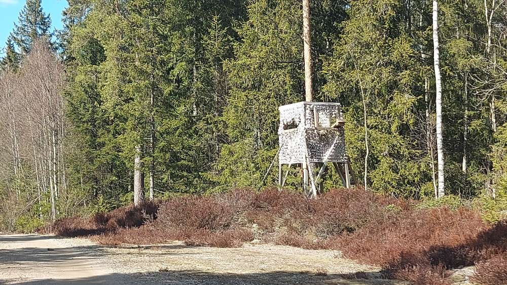 En bild tillhörande nyheten