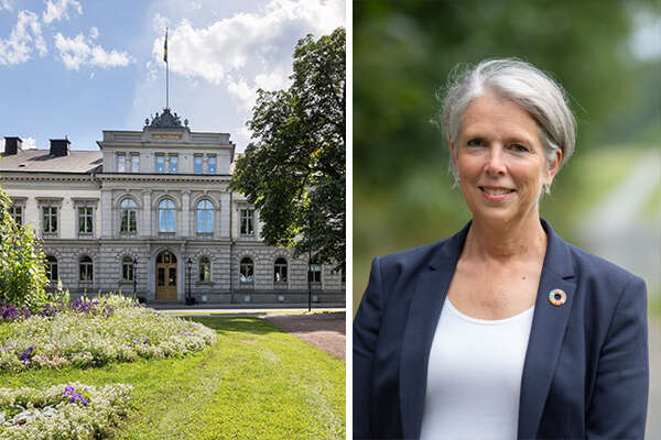 En bild tillhörande nyheten