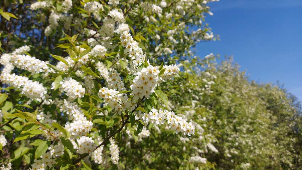 Stora sommarguiden: Det här händer på Höglandet