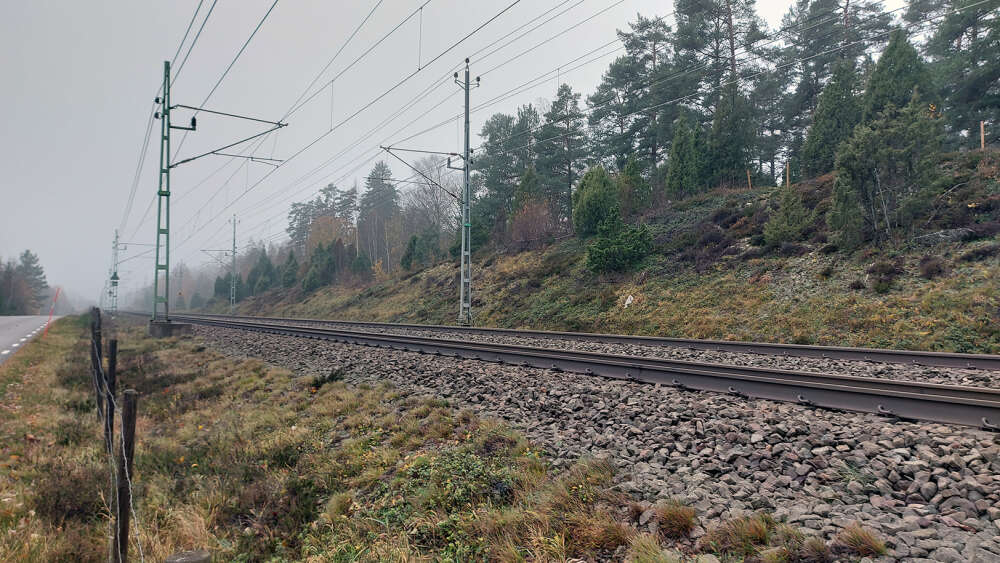 En bild tillhörande nyheten