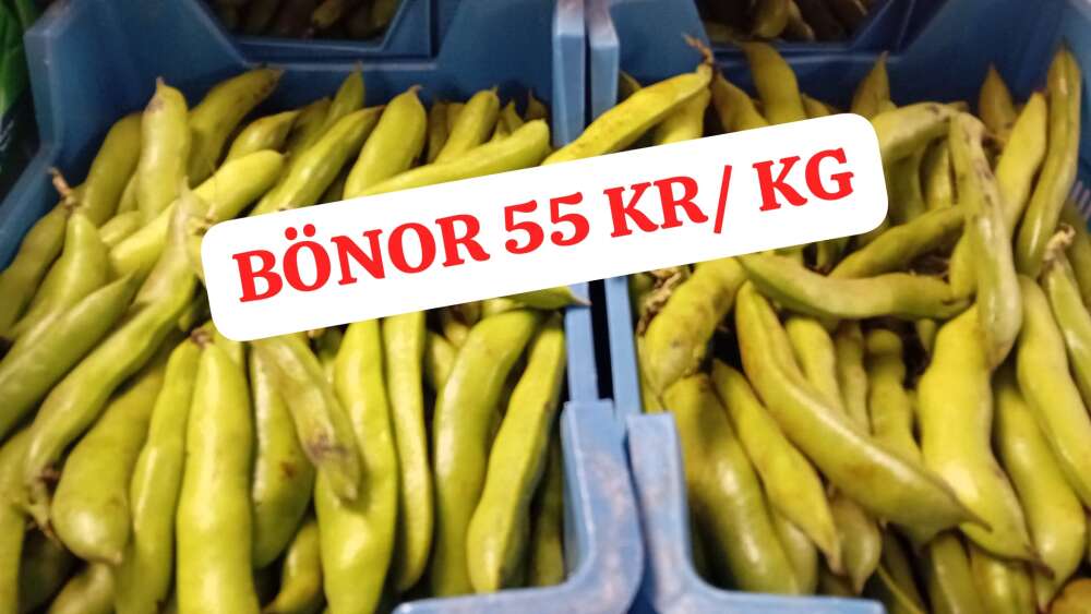 Slide 18
