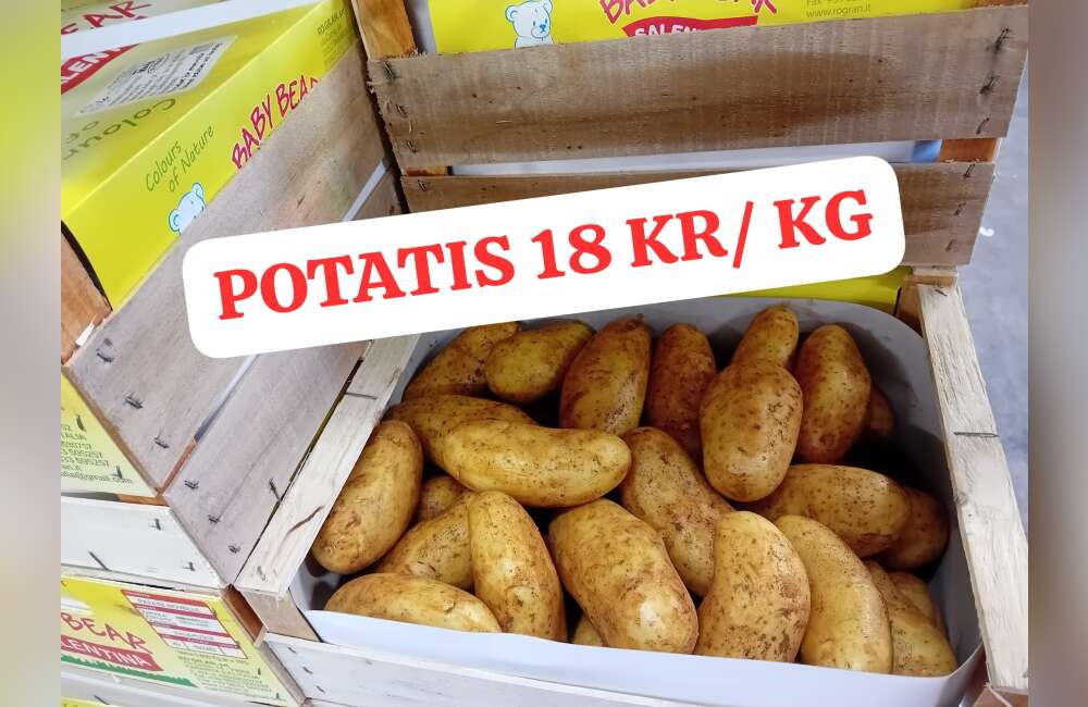Slide 15