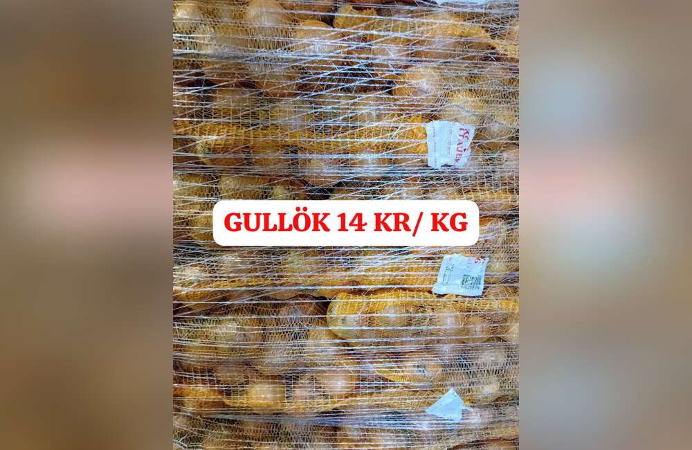 Slide 13