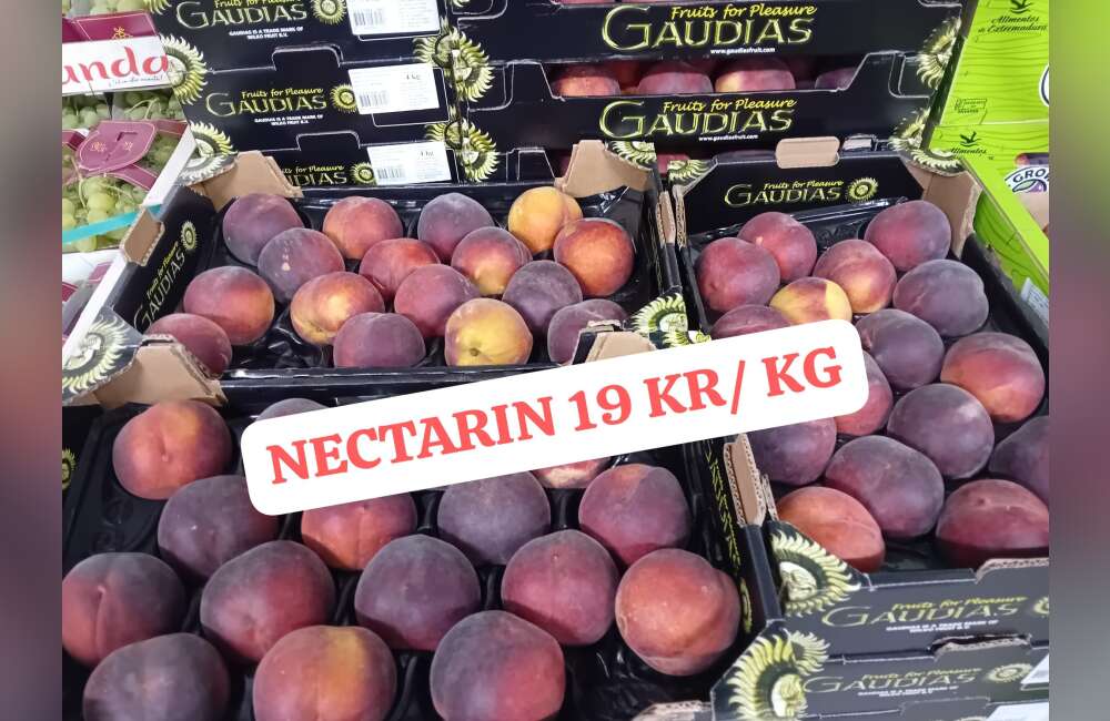 Slide 9