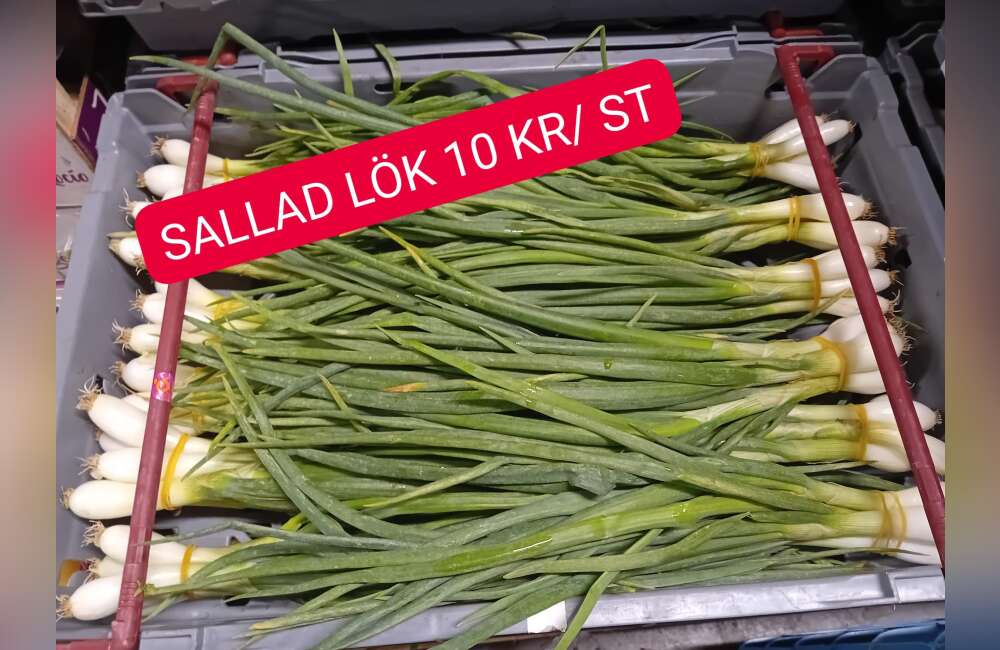 Slide 20