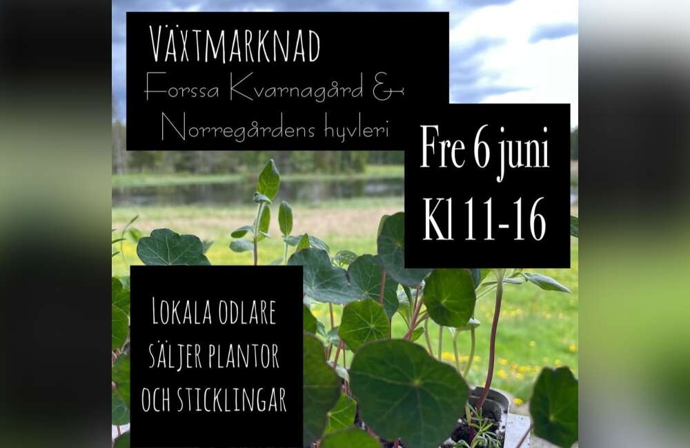 bild för evenemang