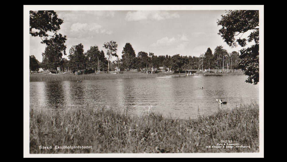 Slide 5