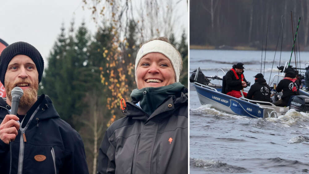 En bild tillhörande nyheten