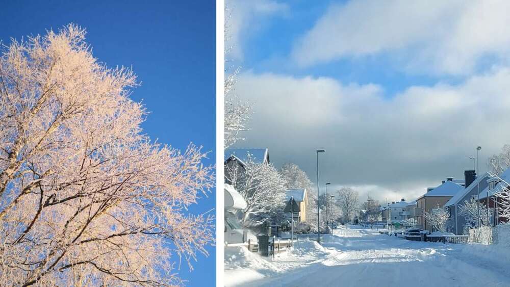 En bild tillhörande nyheten