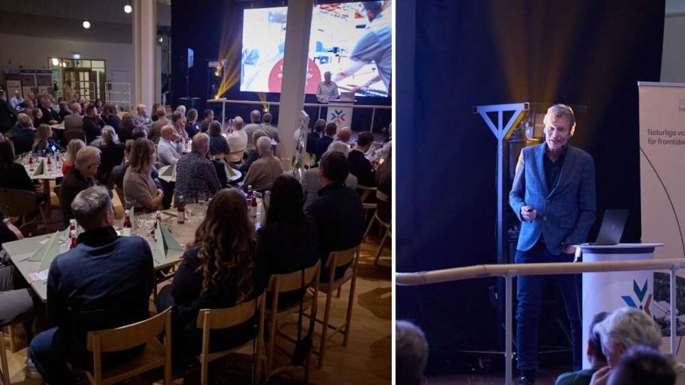 En bild tillhörande nyheten