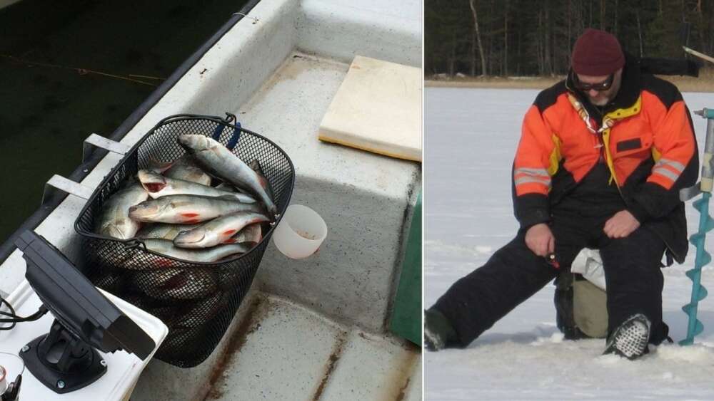 En bild tillhörande nyheten