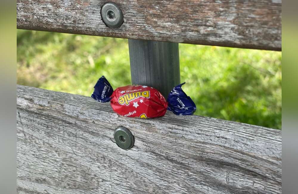 Förskolan Fantasias sista sommarfest blev ett känslosamt farväl - bild 11