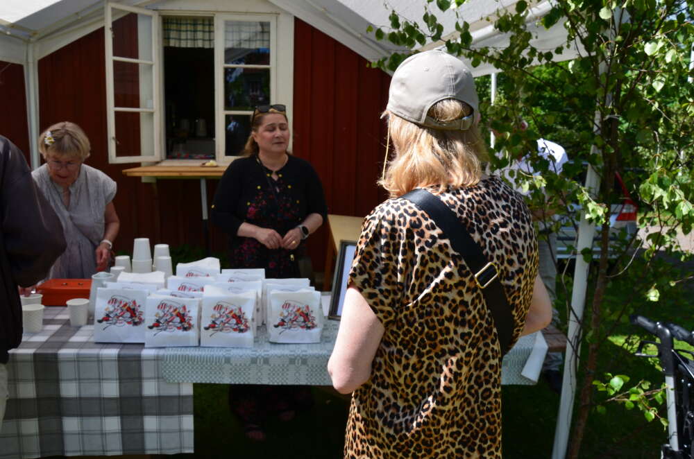 Midsommarafton i Sävsjö Hembygdspark - bild 9