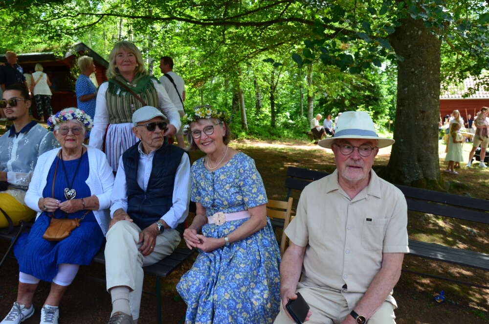 Midsommarafton i Sävsjö Hembygdspark - bild 7