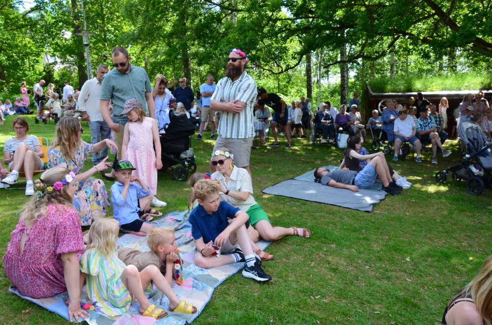 Midsommarafton i Sävsjö Hembygdspark - bild 6