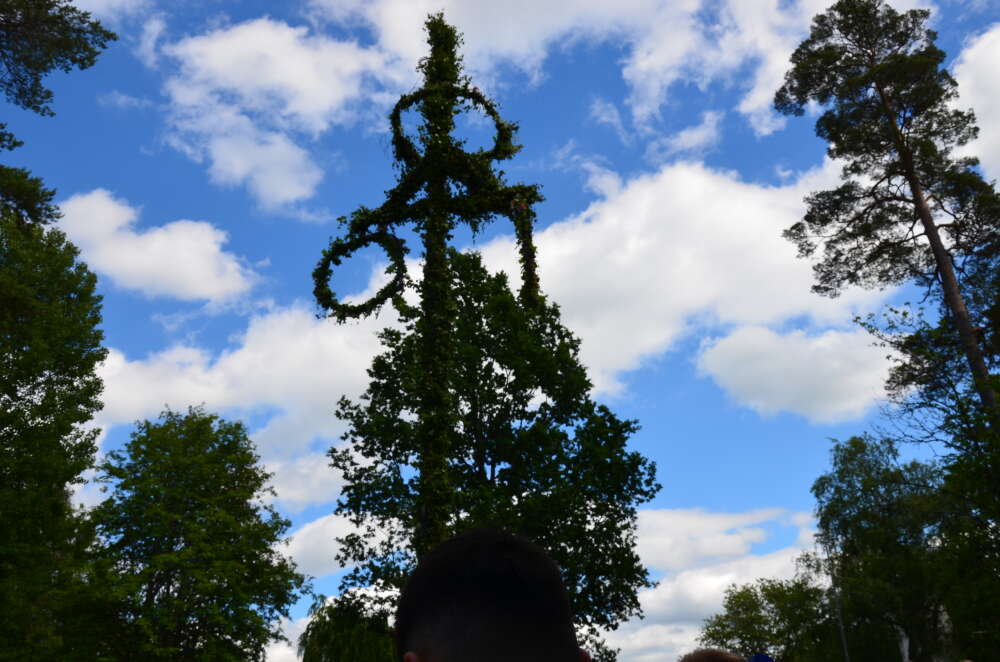 Midsommarafton i Sävsjö Hembygdspark - bild 10