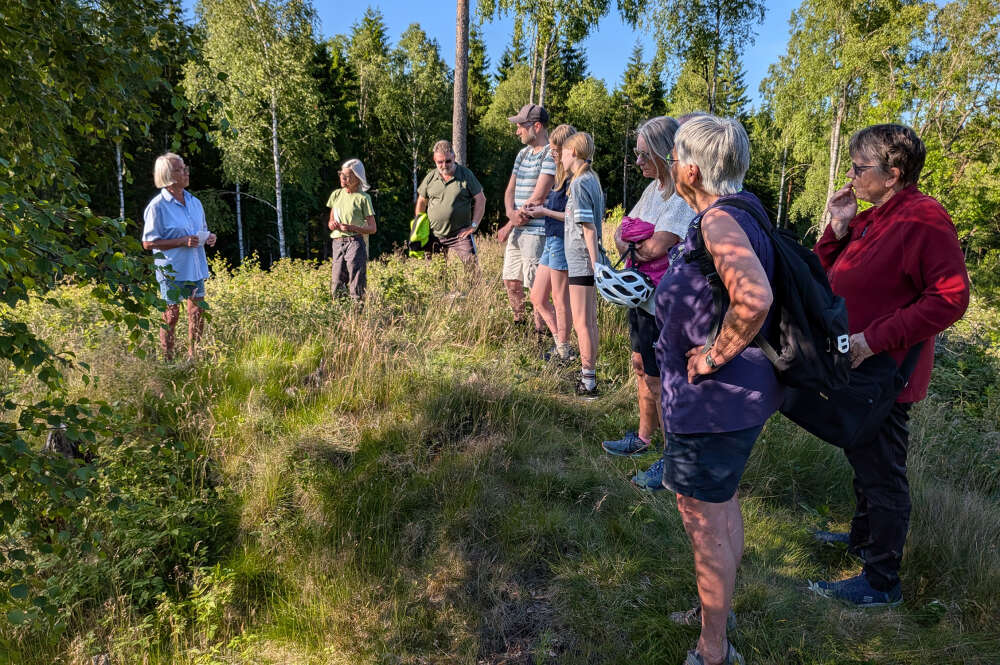 Utflykt till en varggrop