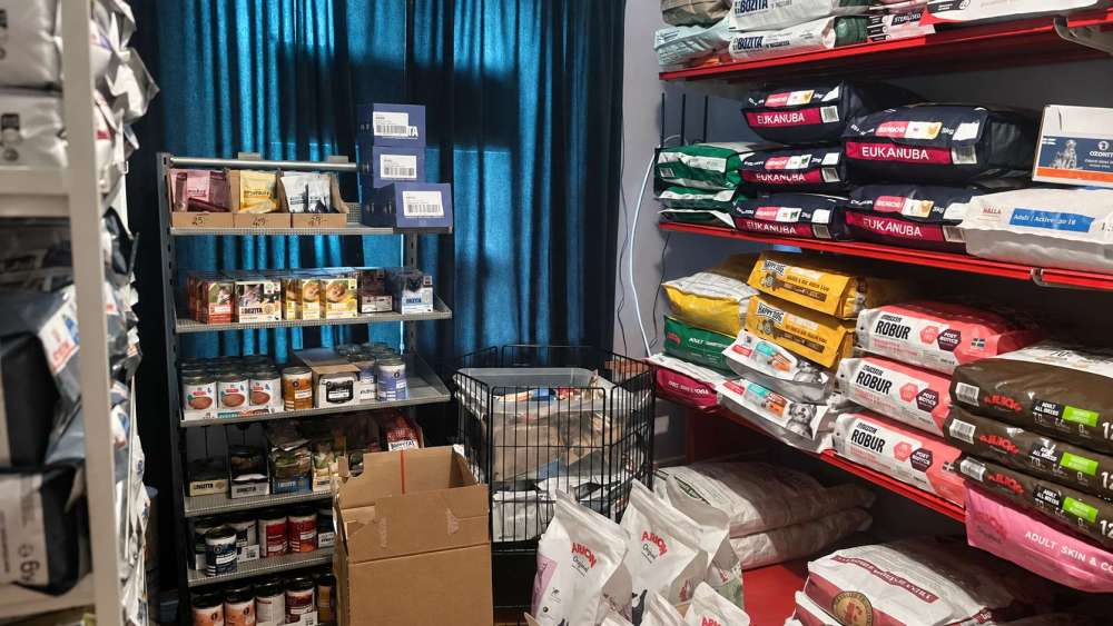 Sävsjö Zoo har flyttat hem till Helén – vill öppna butik igen - bild 2