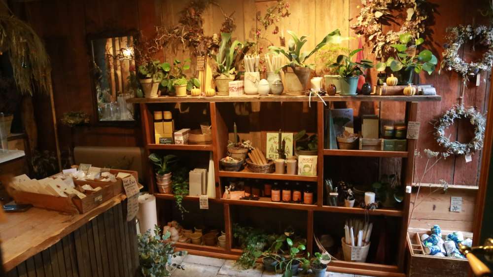 Naturen sätter tonen i Annas blomsterbutik - bild 8