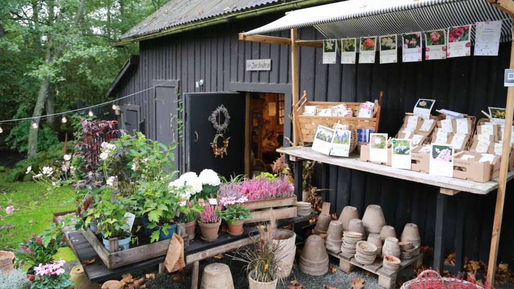 Naturen sätter tonen i Annas blomsterbutik - bild 6