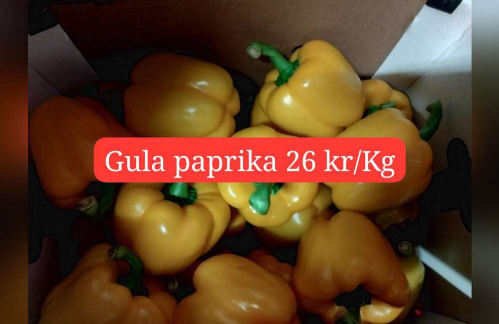 Slide 24