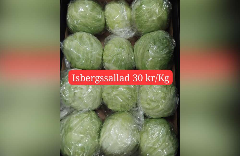 Slide 14