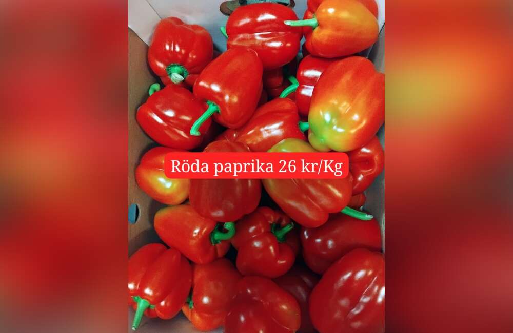 Slide 25