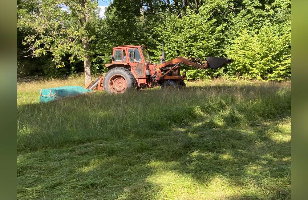 Slåttergille i Boatorp - bild 8