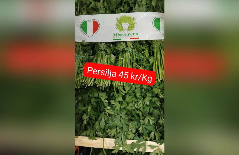 Slide 13