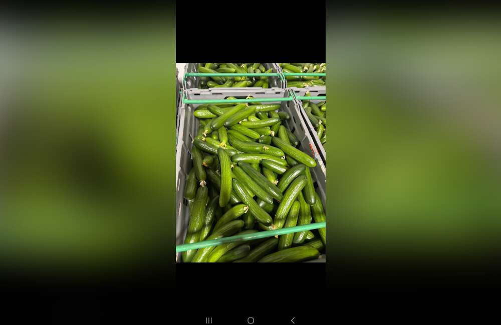 Slide 17