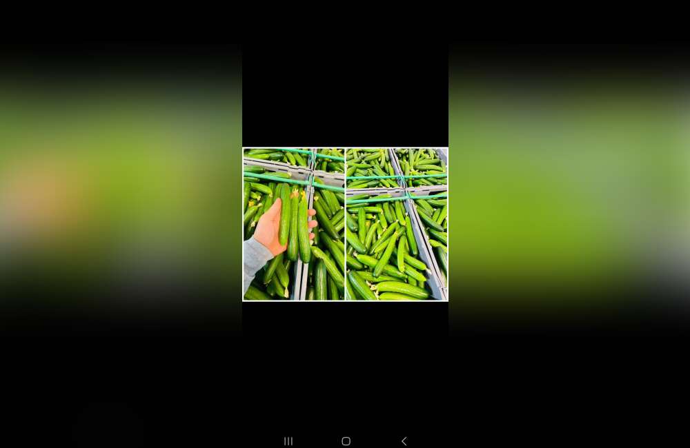 Slide 6