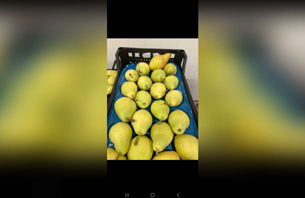 Slide 14