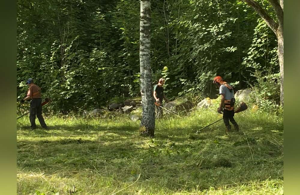 Slåttergille i Boatorp - bild 1