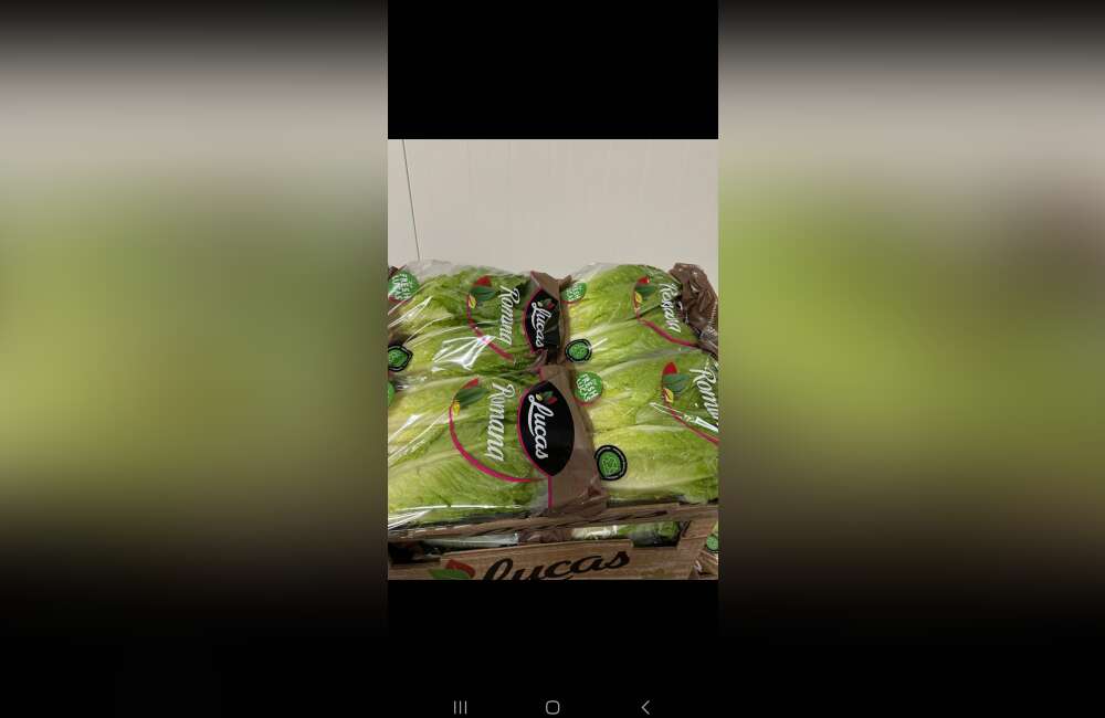 Slide 24