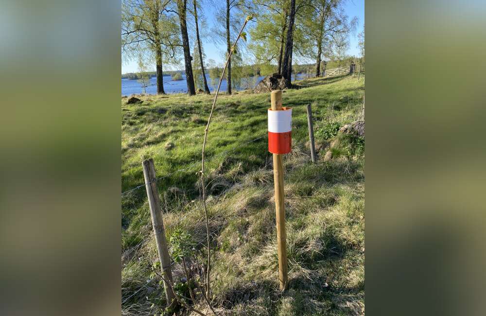 Cykeltrim i Rörvik - bild 3