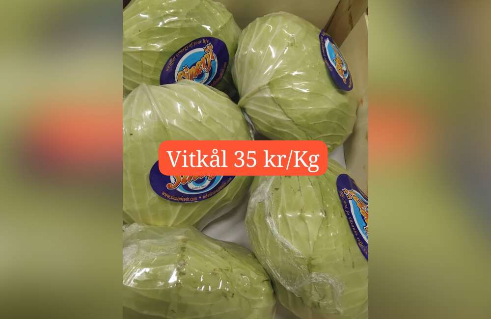 Slide 8