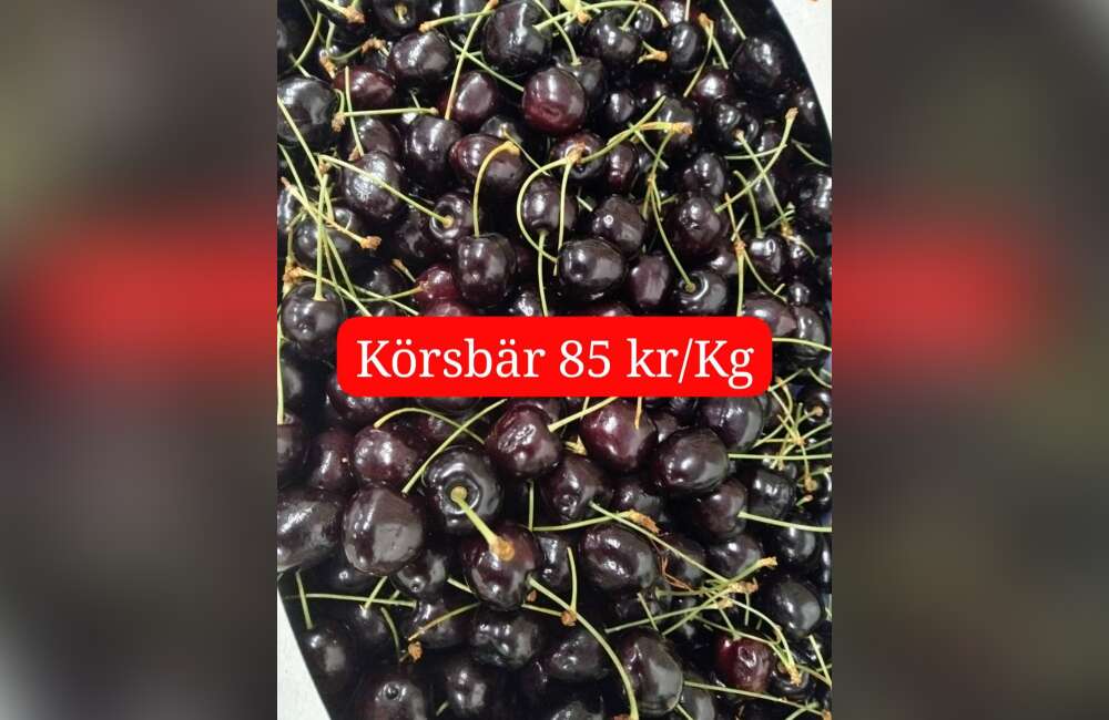 Slide 17