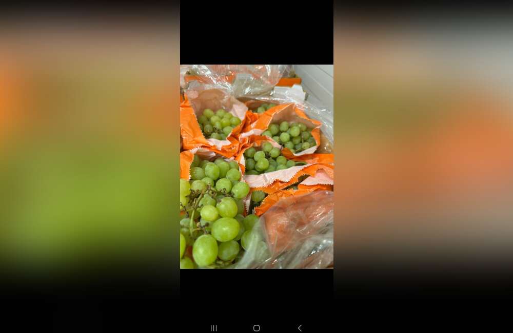 Slide 15