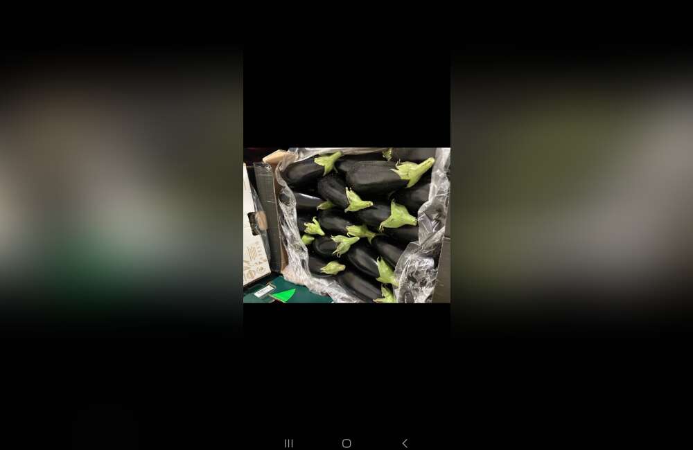 Slide 23