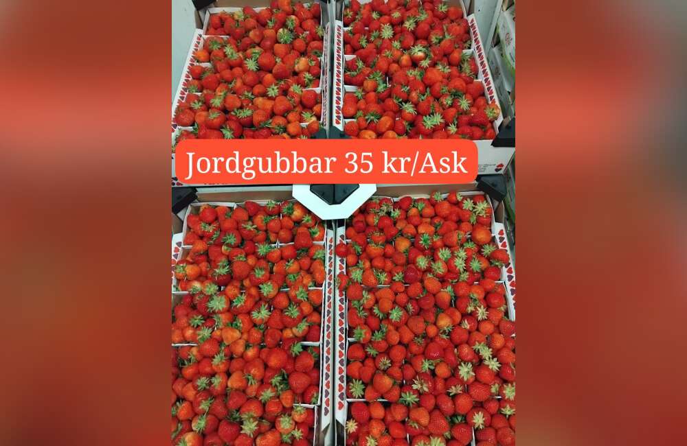 Slide 26