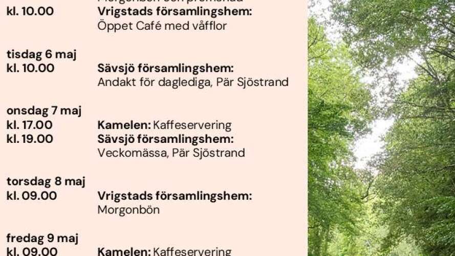 beskrivande bild